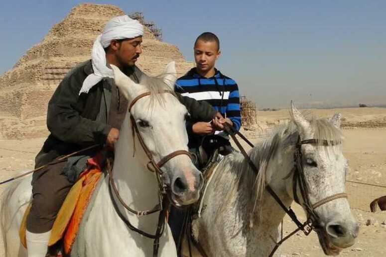 Arabian Horse Riding Lessons in Giza, Egypt