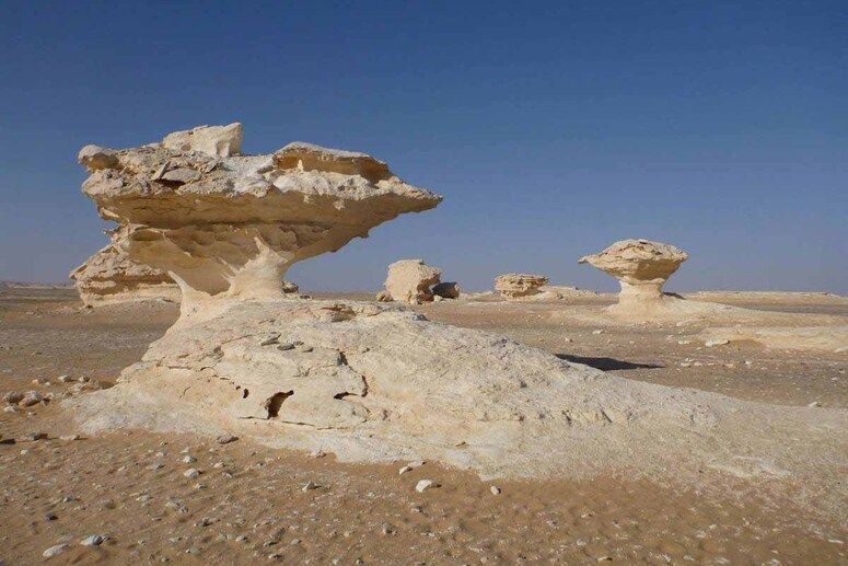 Bahariya Oasis, White and Black Desert from Cairo