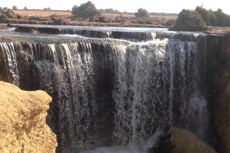 Day Tour To El Fayoum Oasis and Wadi al Rayan