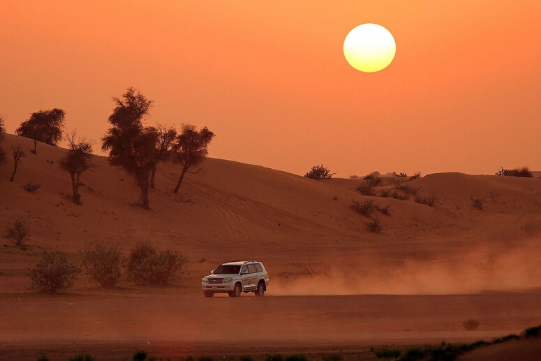 Hurghada Desert Safari and Bedouin Dinner