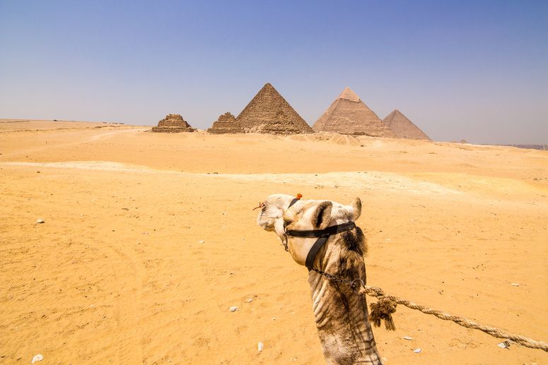 Private Day Tour to Cairo from Hurghada by Plane